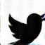 Twitter Icon